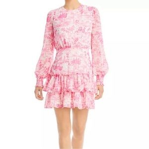 Aqua Pink Toile Printed Ruffle Mini Dress- size Large
